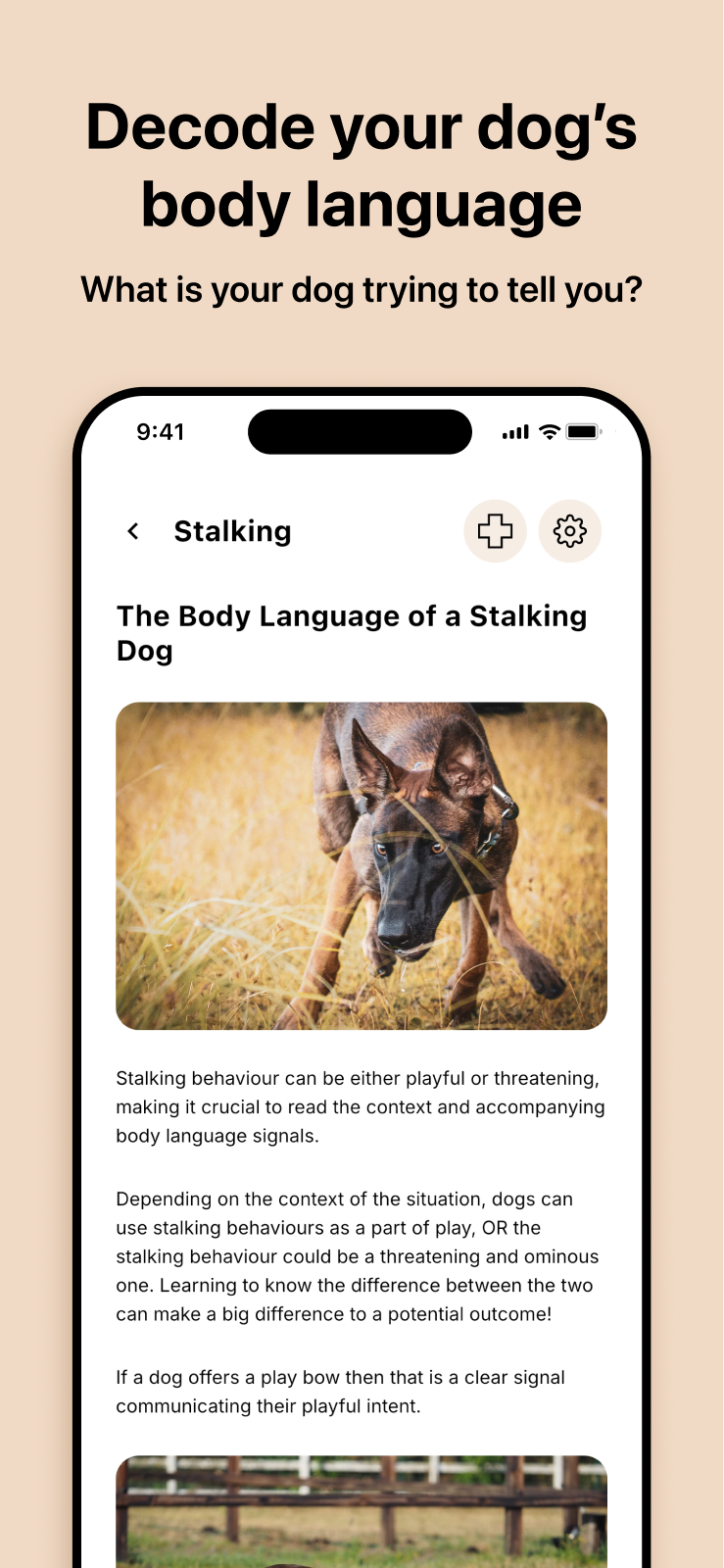 App Store artwork: Decode your dog's body language