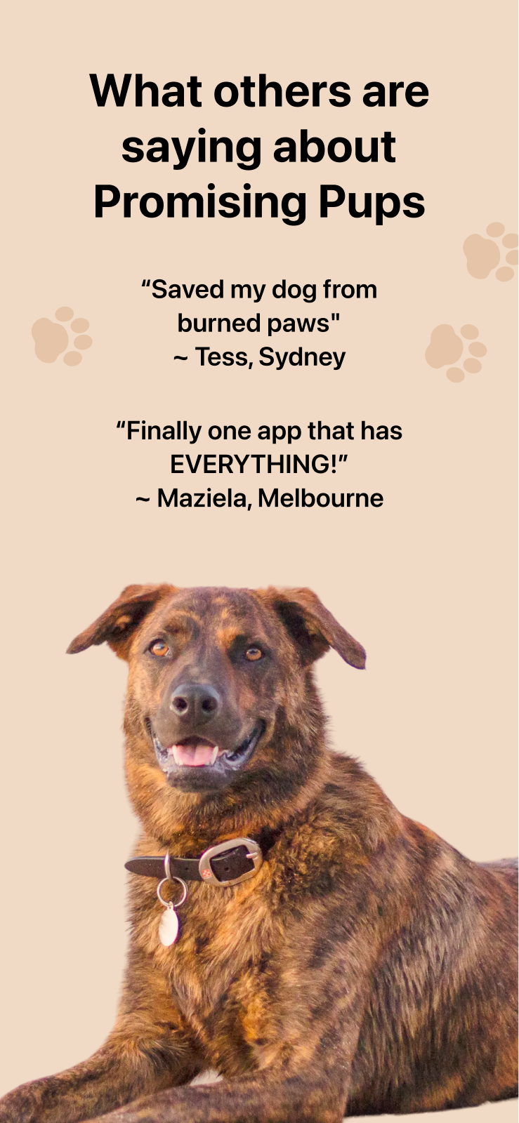 App Store artwork: What others are saying about Promising Pups
