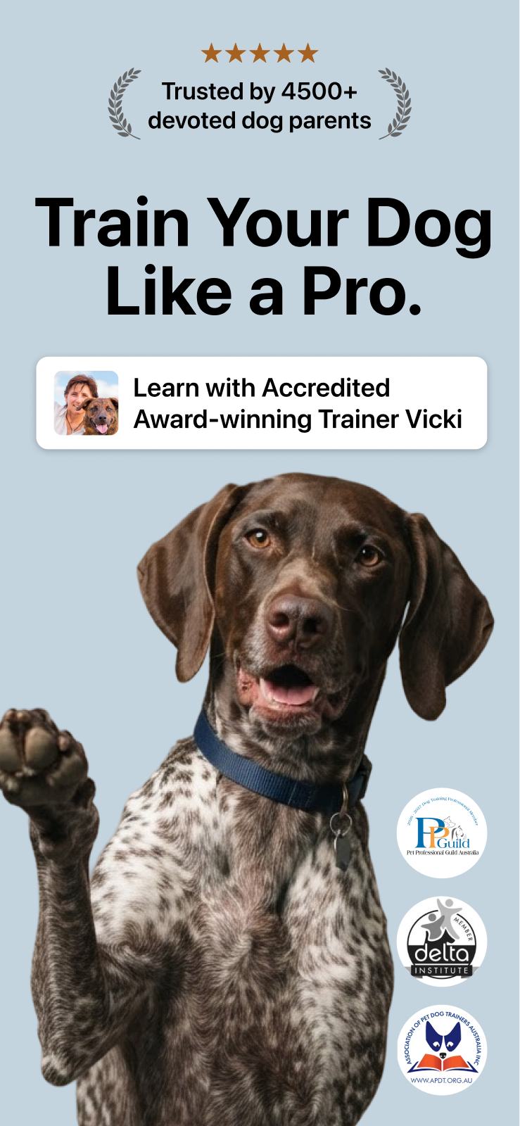 App Store artwork: Train Your Dog Like a Pro, featuring a German Shorthaired Pointer