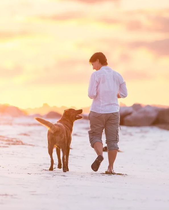 Vicki, Sydney force-free dog trainer at Promising Pups, walking with her dog Noah at golden hour on a Sydney beach